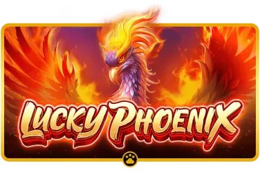 mylucky888